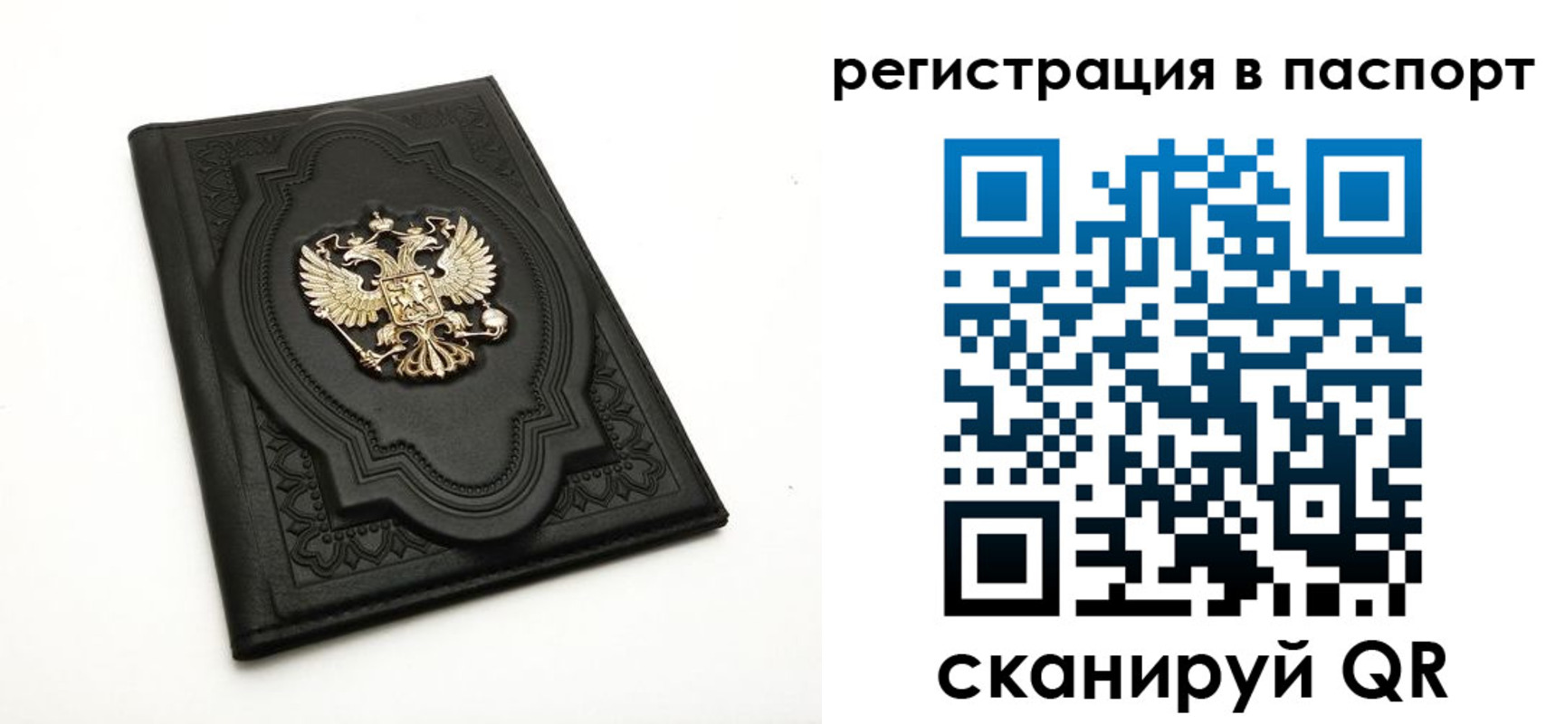 прописка регистрация в Зее