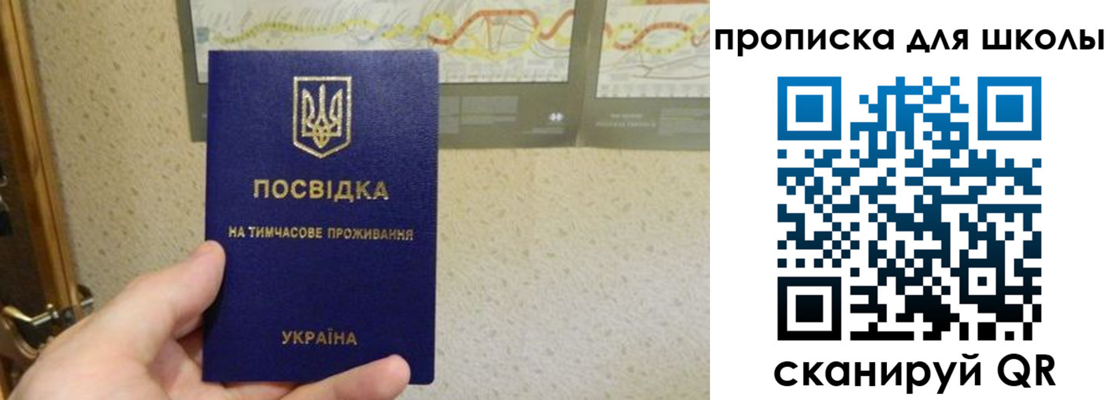 найти адрес прописки в Зее